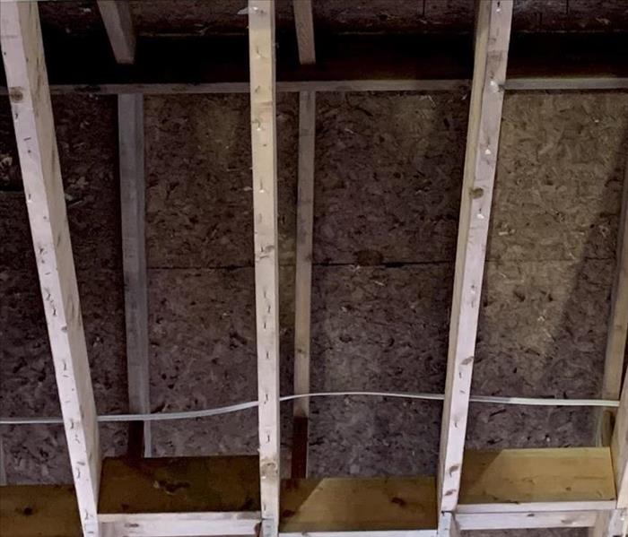 attic ceiling with mold damage 