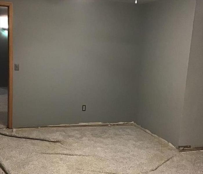 a grey colored room with grey carpet 