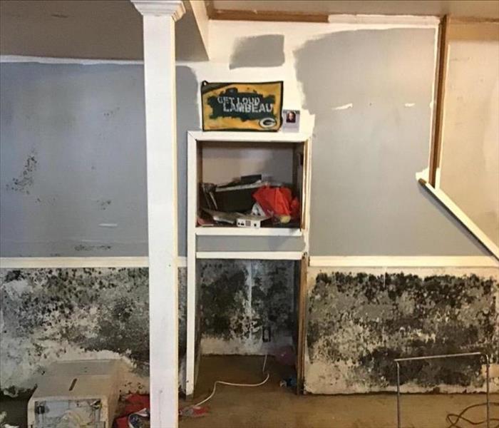 a basement after a sewage damage went untreated with extreme mold growth 