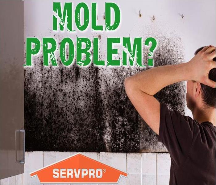 a man holding his head in disbelief as he looks at a mold infested wall with a graphic overlay saying "Mold Problem?"